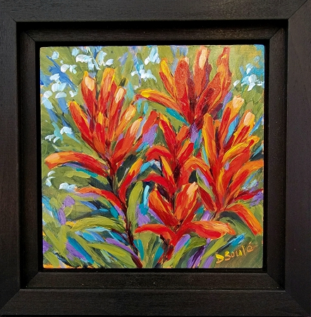 18th annual October Community Show: Indian Paintbrush